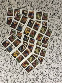 First-Class Rate 2020 U.S. STAMPS New Fruits & Vegetables 1 0 0pcs FREE SHIPPING