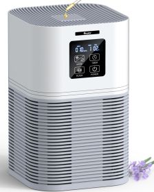 Air Purifier - FBA Warehouse Shipping, -It Is Forbidden To Sell On Amazon, Temu Platforms